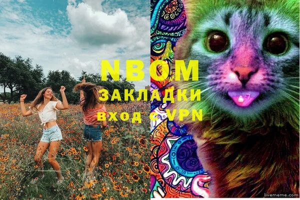 прущий лед Алзамай