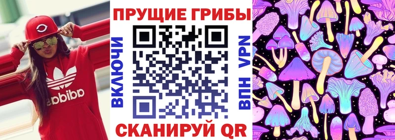Псилоцибиновые грибы GOLDEN TEACHER  Николаевск-на-Амуре 